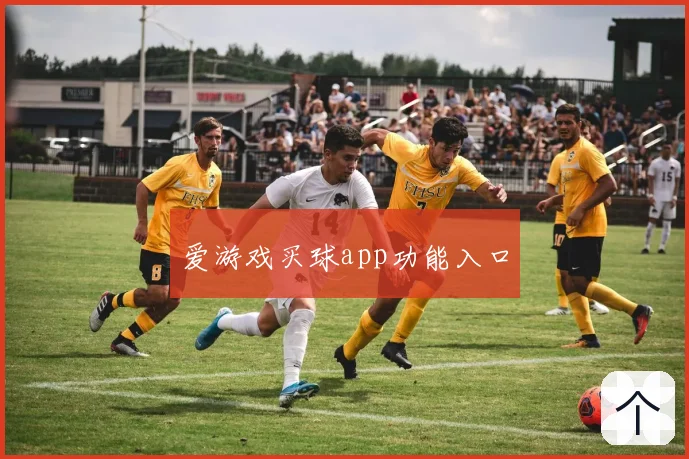 爱游戏买球app功能入口
