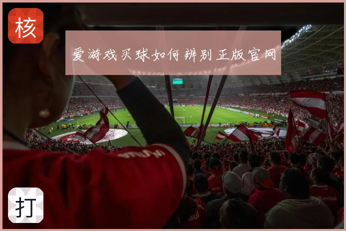爱游戏买球如何辨别正版官网
